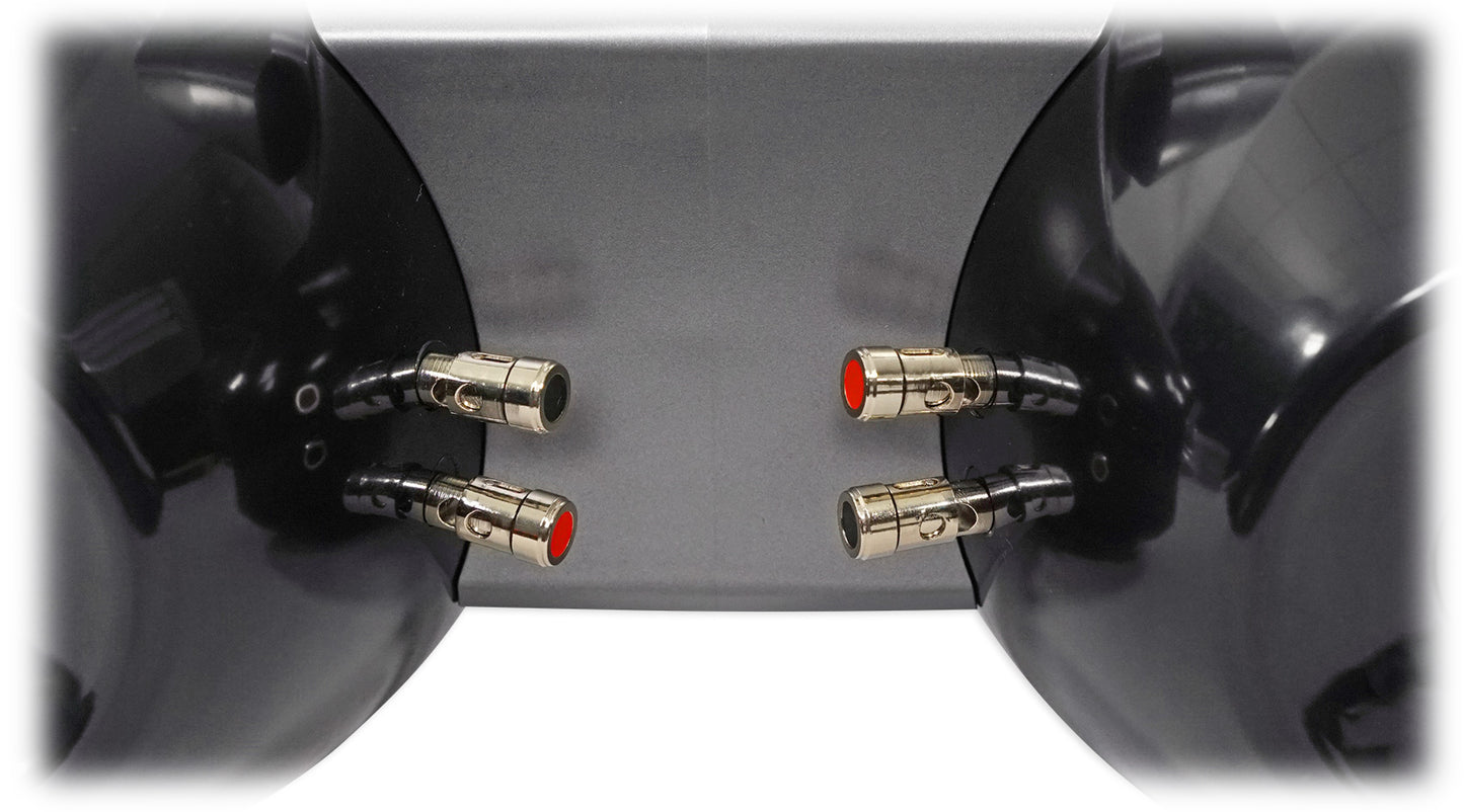 DWB65B Black 2-Pack + DBM45 Marine Amplifier Bundle