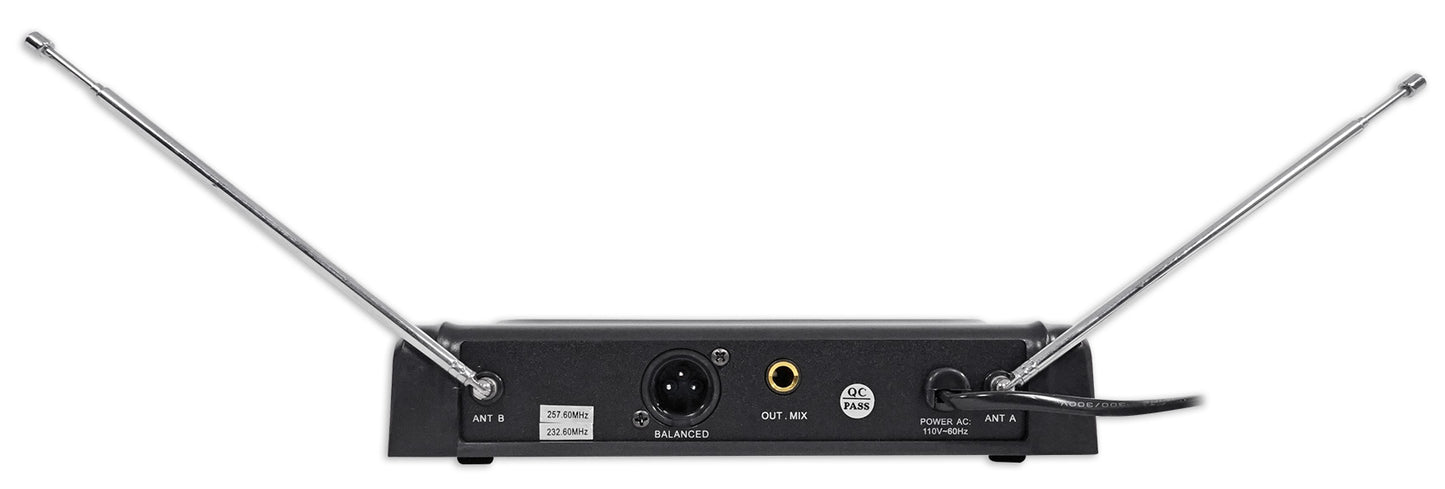 SPGN128 2-Pack + RPM80BT Powered Mixer + Wireless Mics Bundle