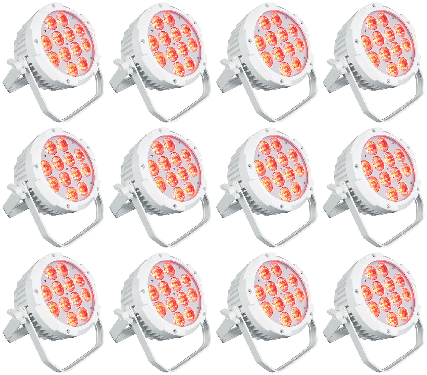 WET PAR PRO WHITE 12-Pack