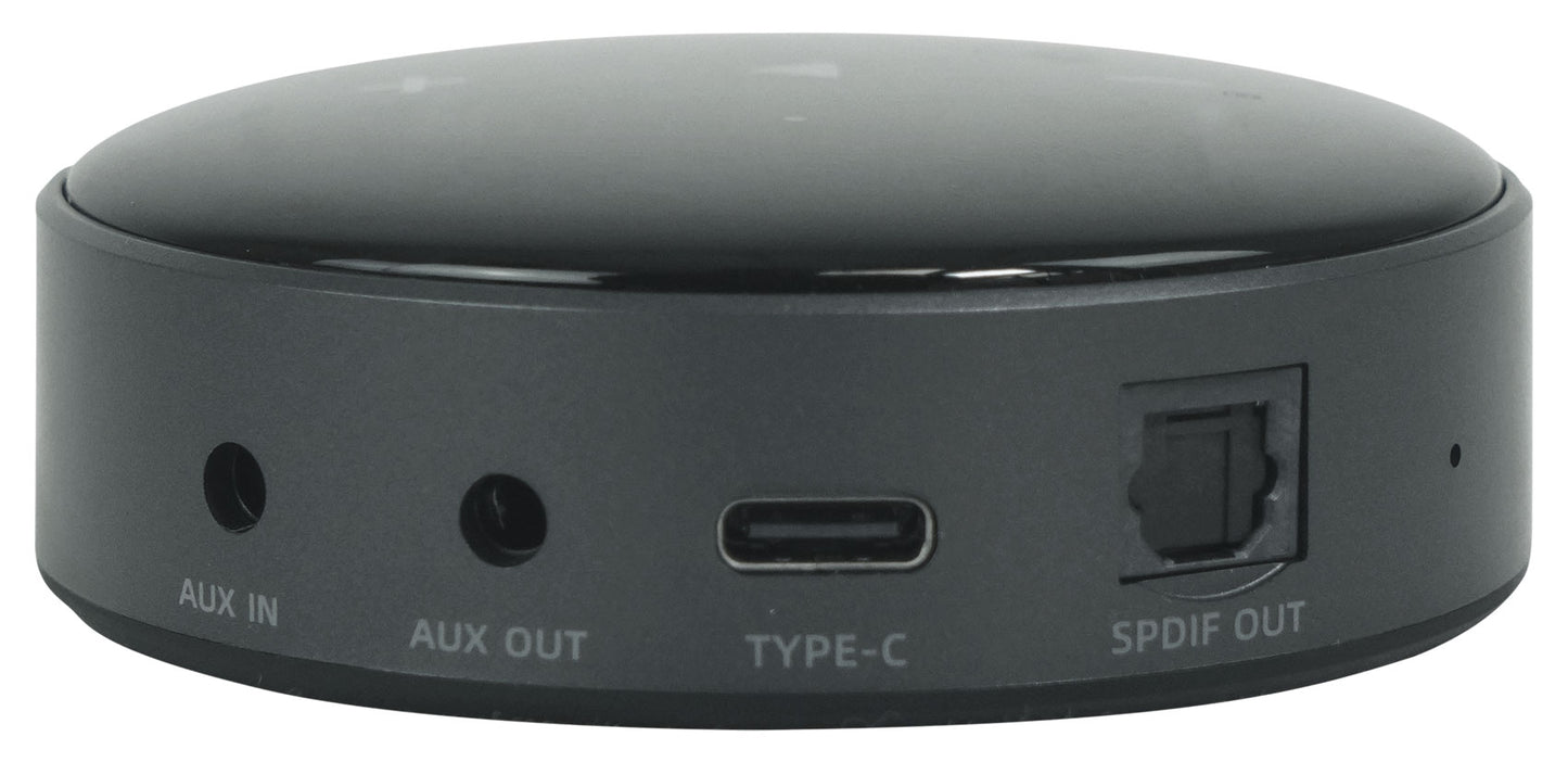 BLUAMP 21 Black + WiiM Mini Streaming Receiver Bundle