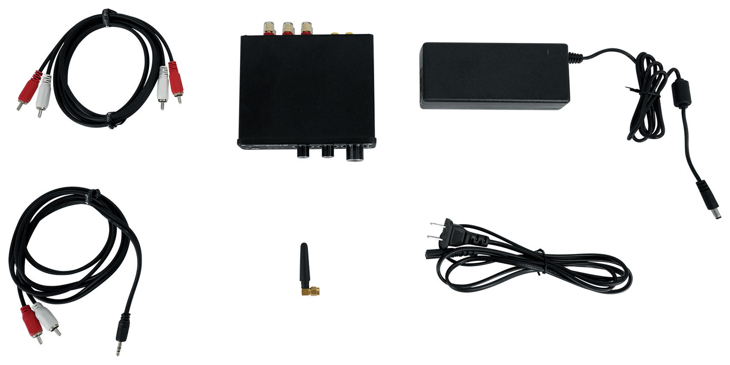 BLUAMP 21 Black + WiiM Mini Streaming Receiver Bundle