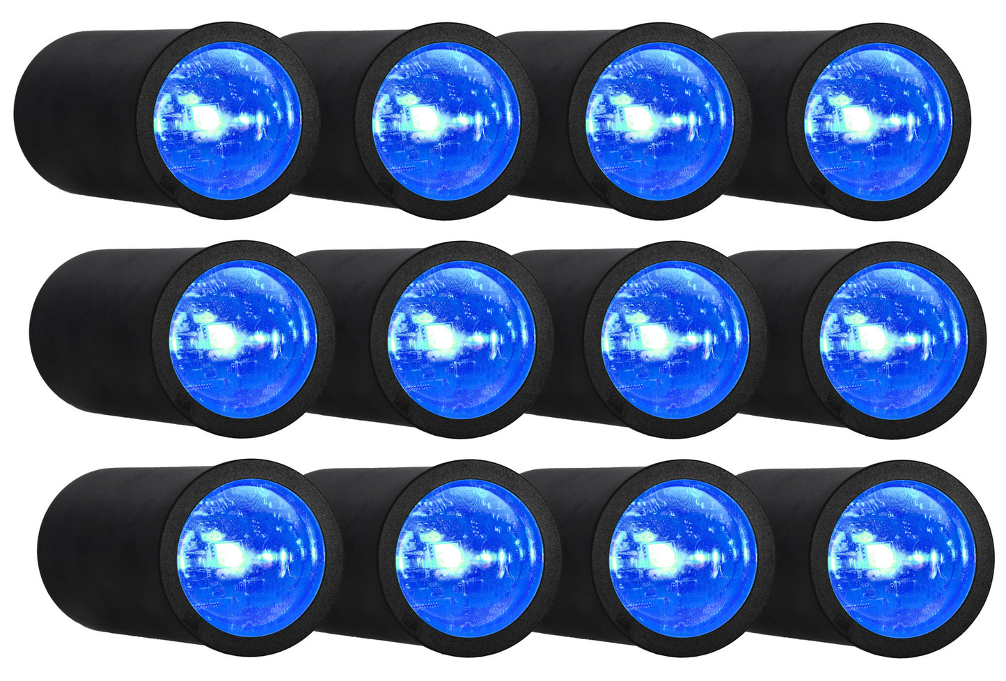 12 PACK MINI HALO BLACK