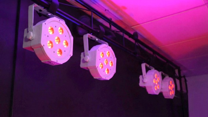 Versatile for Every Occasion