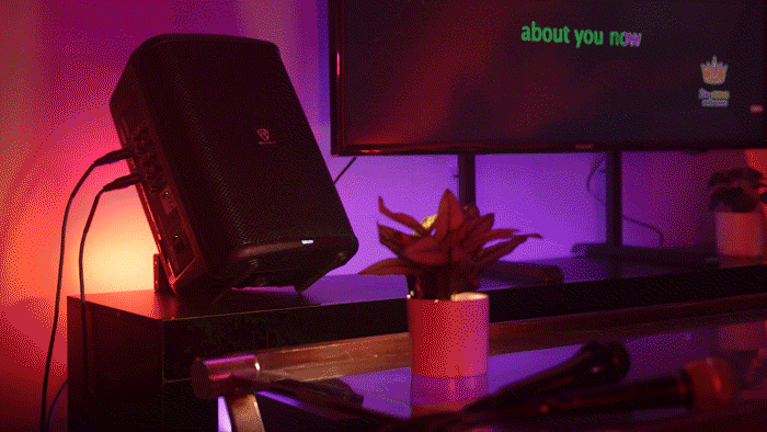 Precision Engineered Sound, Compact Design