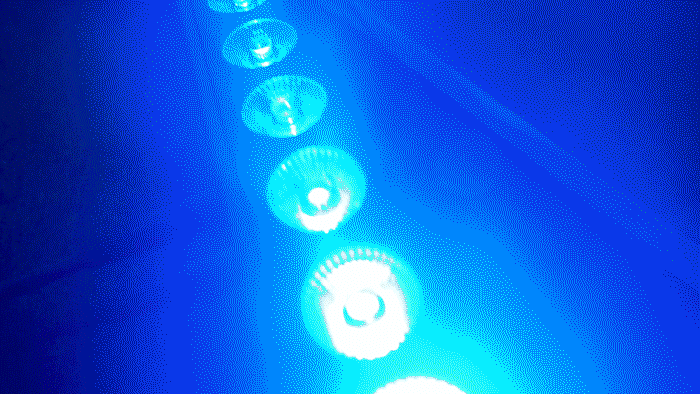 Distinctive Artistic Edge