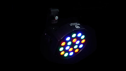 RockPAR50 LED RGB 2-Pack + DMX Cable Bundle