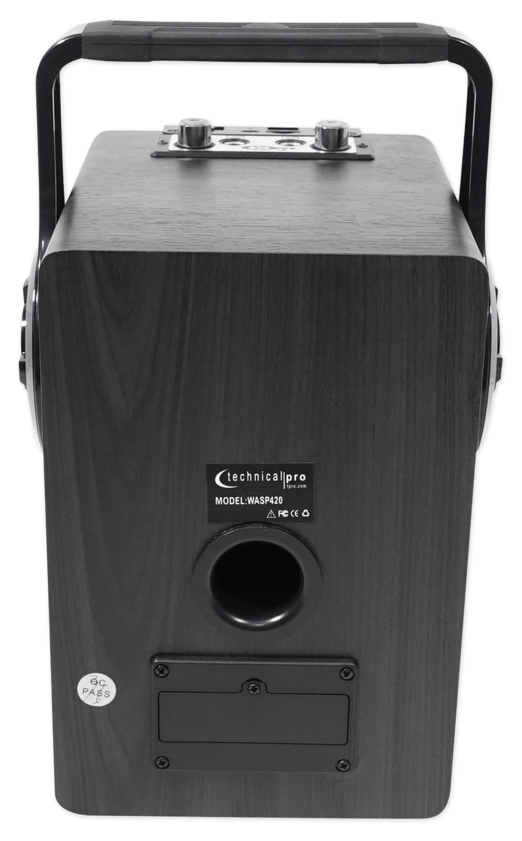 Technical Pro WASP420 Bluetooth Karaoke Machine System w/TV LED's Bundle with Mic & Stand