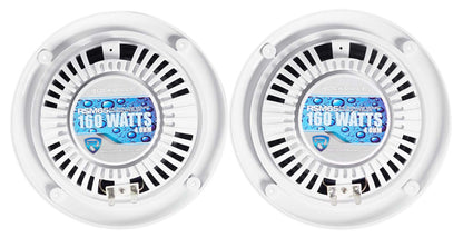 RMS65W RZR