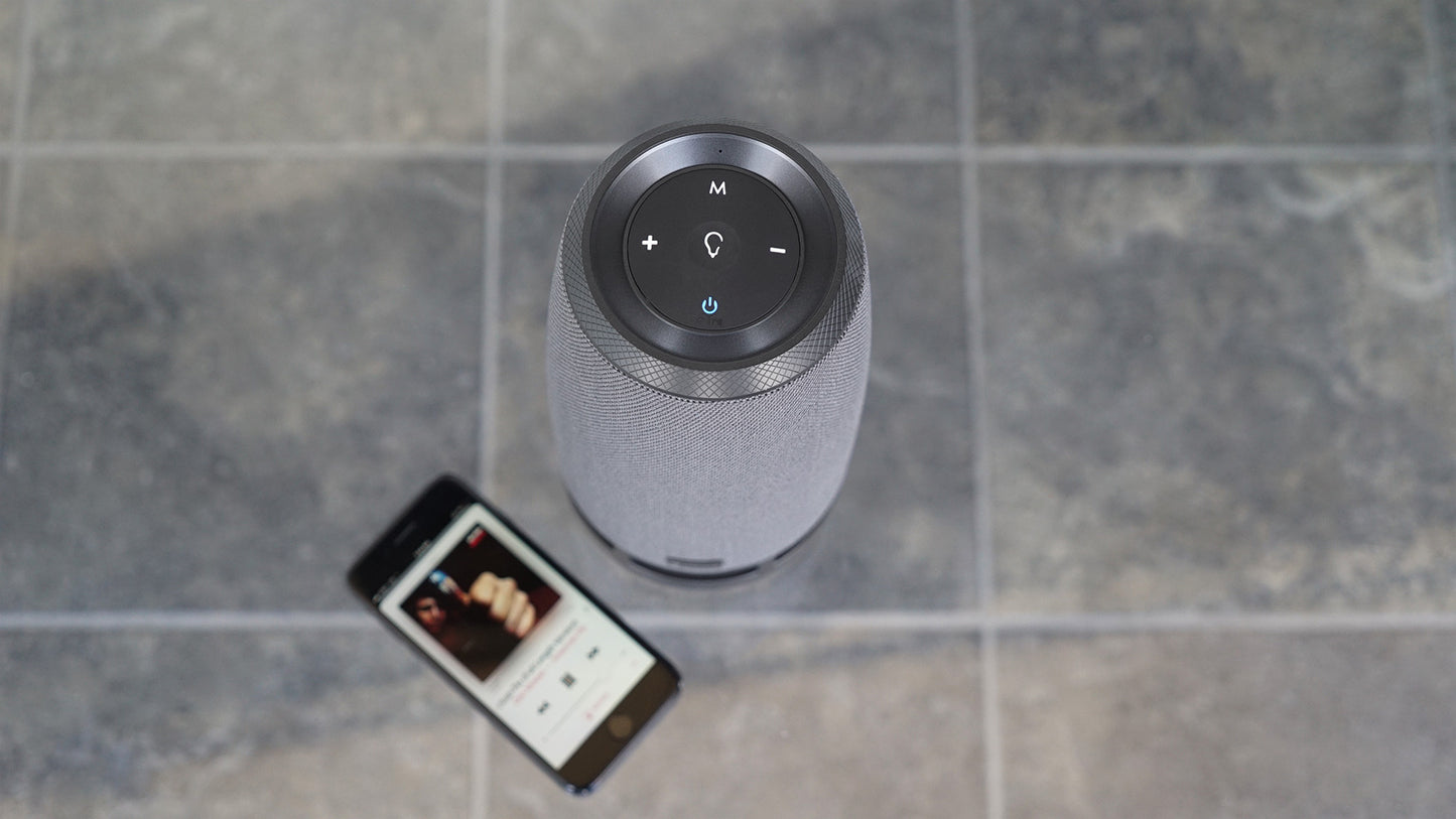 MTX 5512-22 12" 800 Watt Peak/400 Watt RMS DVC 2-ohm Car Subwoofer Sub+RockShip