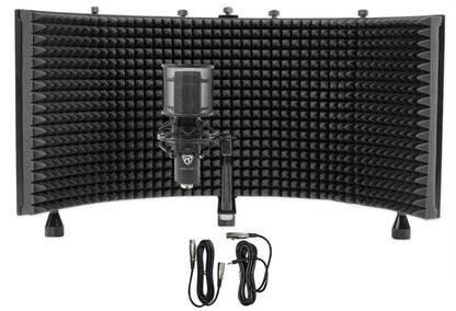 RCM PRO Mic + RockShield 3 Isolation Shield Bundle