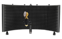 RCM02 Condenser Microphone + RockShield 3 Isolation Shield Bundle