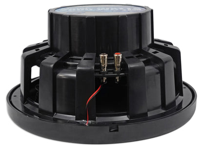 MS12LB Black + dBM12 Marine Amplifier Bundle