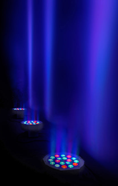 RockPAR50 Wht 6-Pack