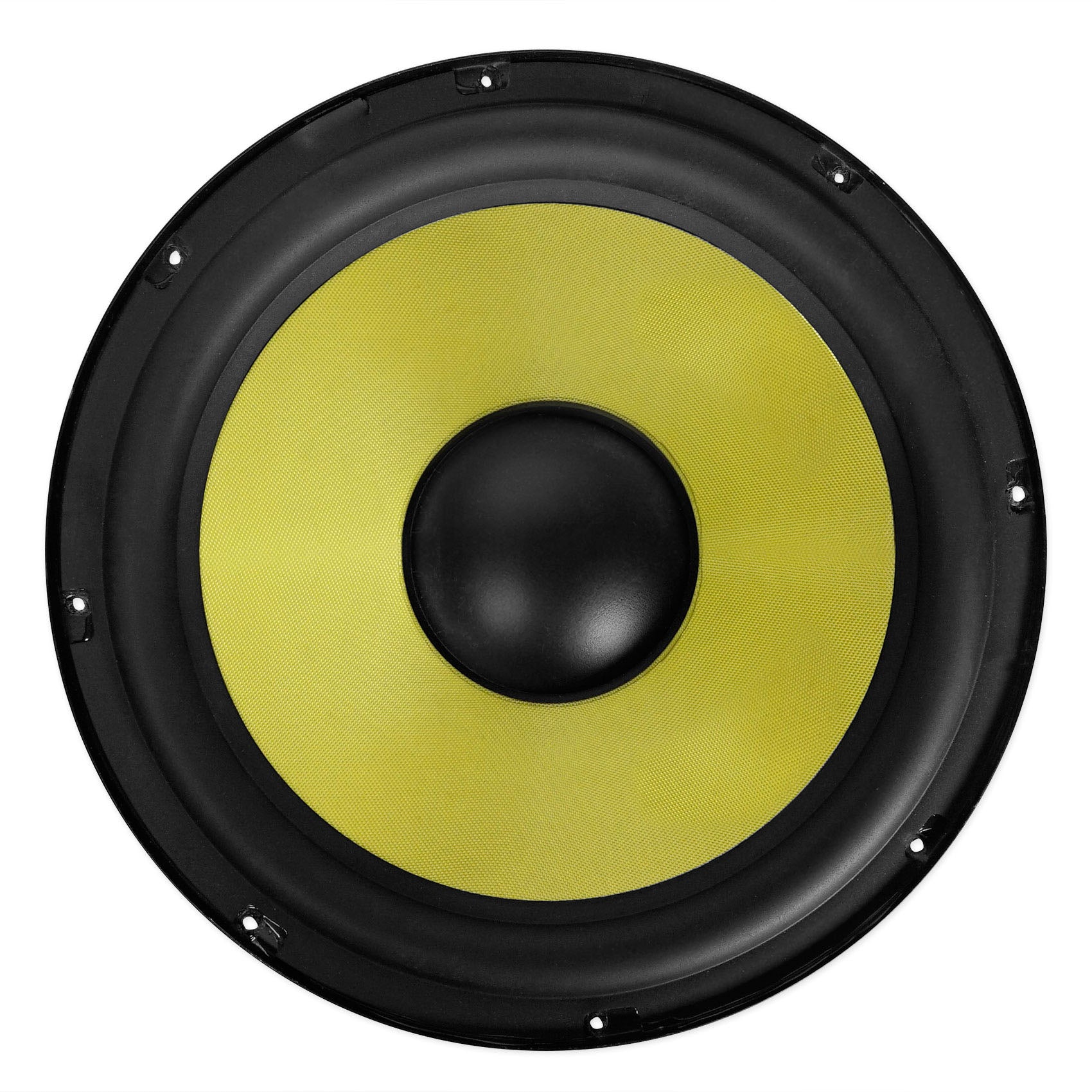 10" 200w RMS Raw Woofer For Home Theater or Studio Monitors From Rockville DPM10