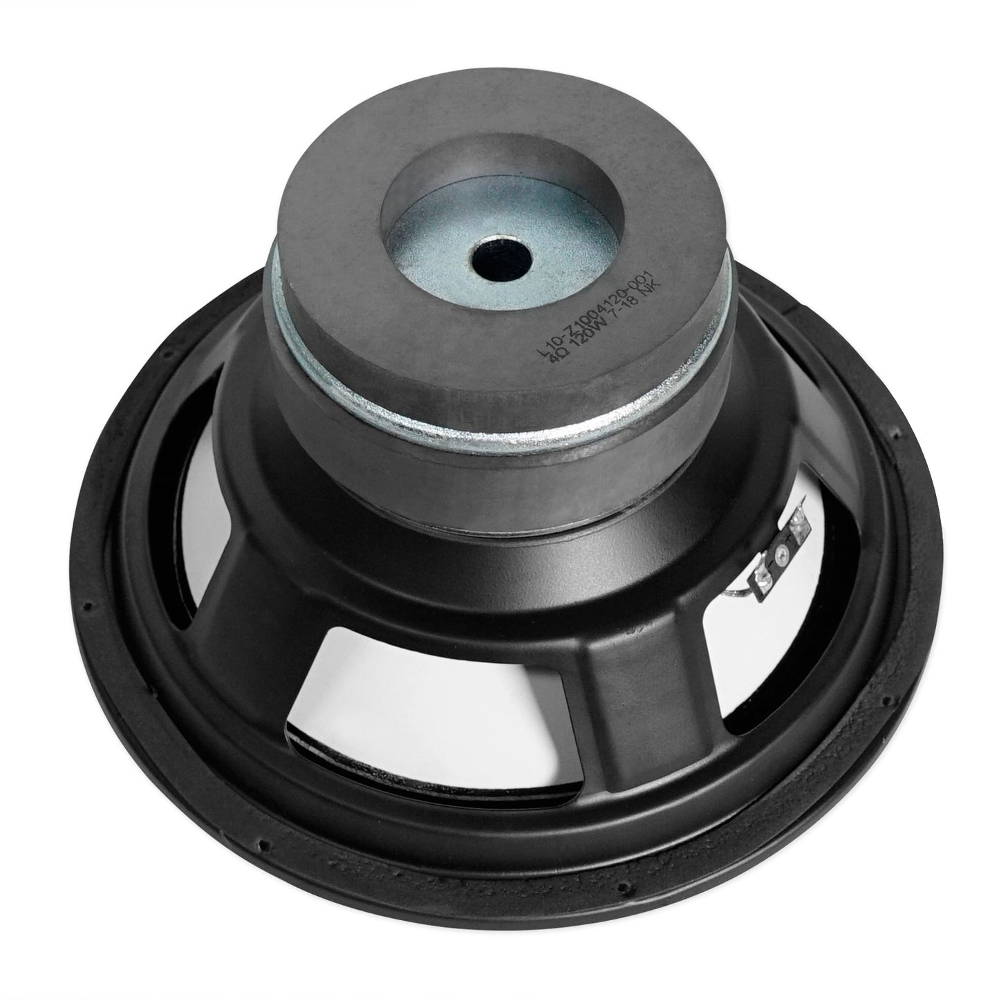 10" 200w RMS Raw Woofer For Home Theater or Studio Monitors From Rockville DPM10