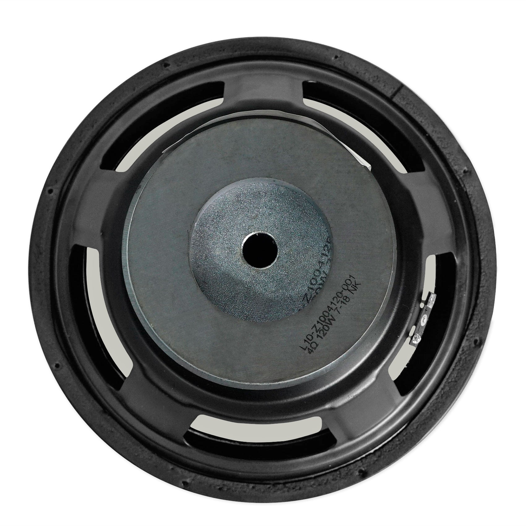 10" 200w RMS Raw Woofer For Home Theater or Studio Monitors From Rockville DPM10