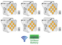 BEST PAR 60 White 6-Pack