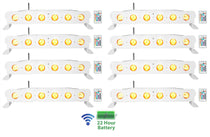 BEST STRIP 60 White 8-Pack