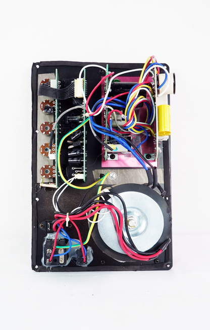 200 Watt RMS Pro Audio Powered Speaker Amplifier Plate Module with XLR 110/220