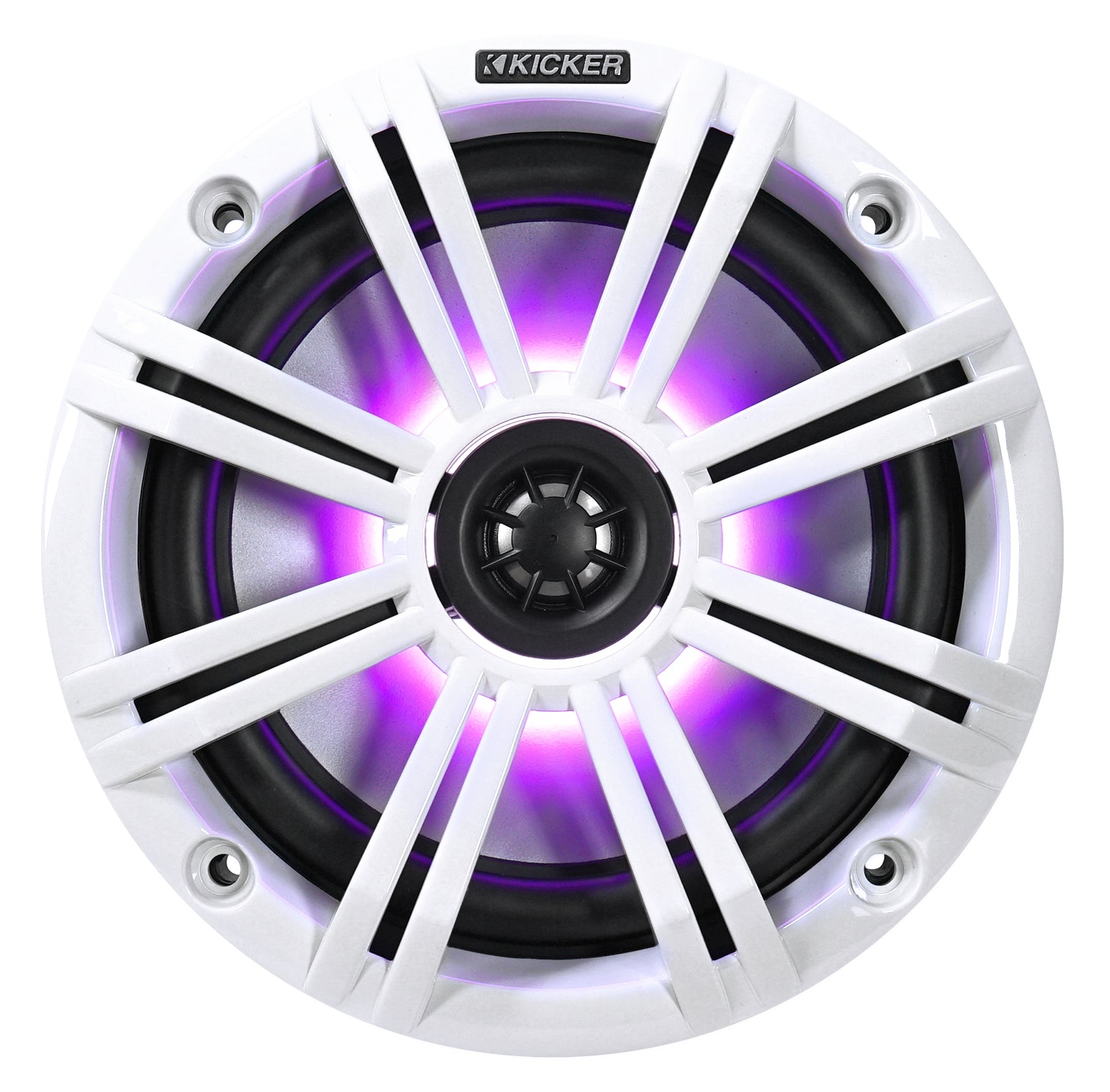 MAC65S+MAC360C KICKER SWIVEL RZR