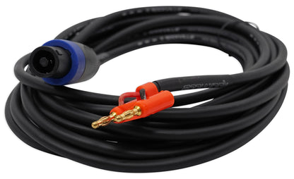 RSG10 2-Pack + RX55URIBT Receiver Bundle