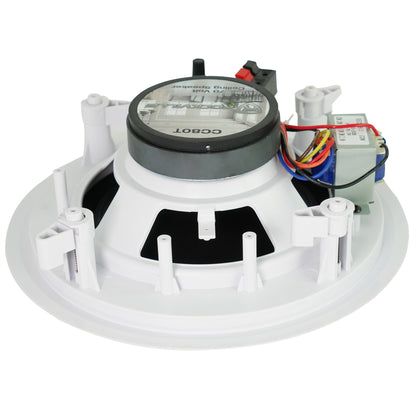 ROCK MATRIX 4 + CC80T White 24-Pack Bundle