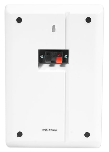 RPA60BT + RockSlim White 4-Pack + VOL850 2-Pack Bundle