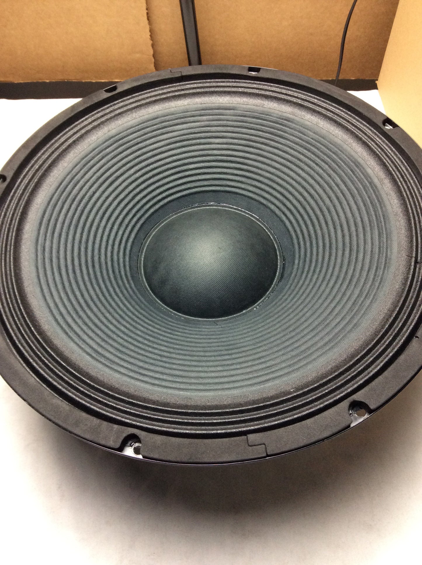 SPGN1158 RAW SUBWOOFER