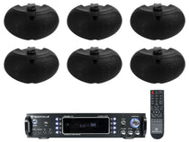 RPA60BT + D4-16 Black 6-Pack Bundle