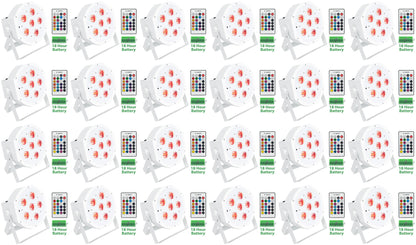 BATTERY PAR 61 White 24-Pack