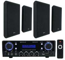 BLUAMP 100 + RockSlim Black 4-Pack Bundle