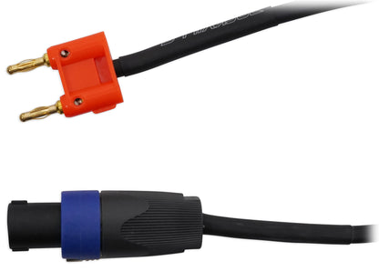 RSG15.24 2-Pack + RPA60BT V2 Bundle