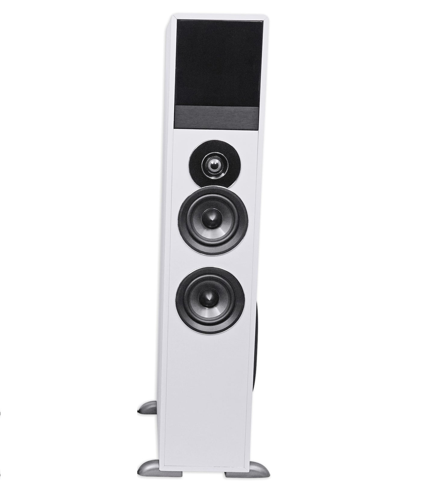 TM80W SINGLE PASSIVE SPEAKER