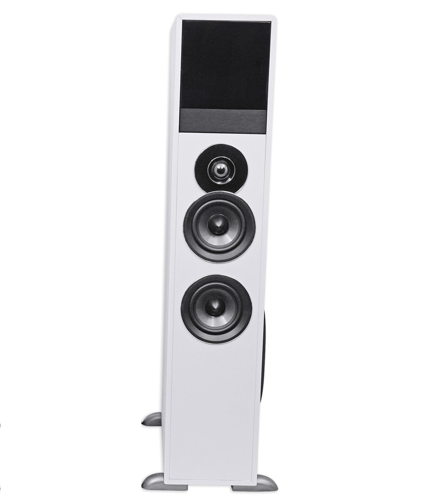 TM80W SINGLE PASSIVE SPEAKER