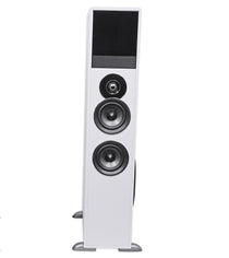 TM80W SINGLE PASSIVE SPEAKER