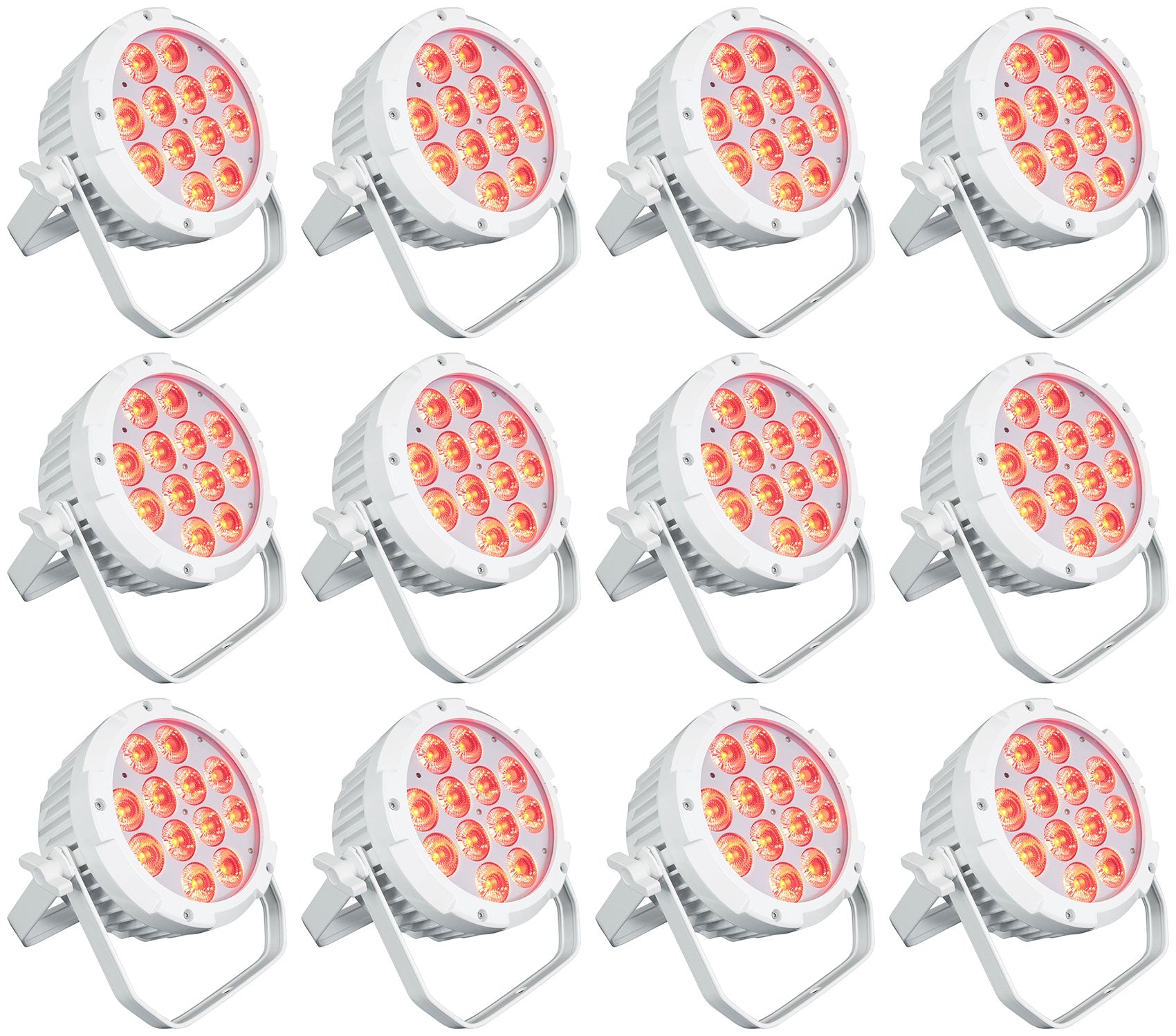 WET PAR PRO WHITE 12-Pack