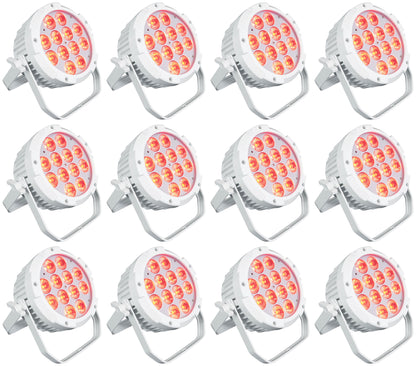 WET PAR PRO WHITE 12-Pack