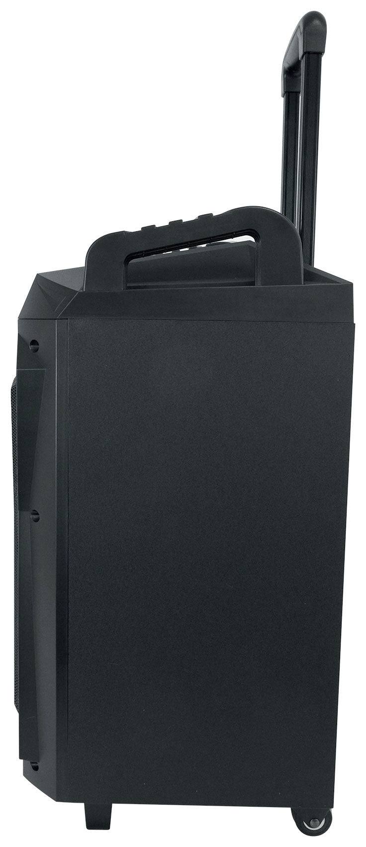 ROCKnGo 800 + JBL Wireless Mics Bundle