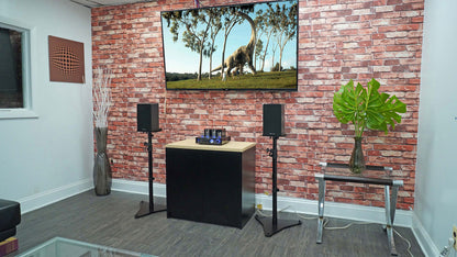 ASM4 4" + RVSM5 Adjustable Stands Bundle