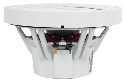 NK2-116W White 2-Pack + 4-Zone Marine Receiver Bundle