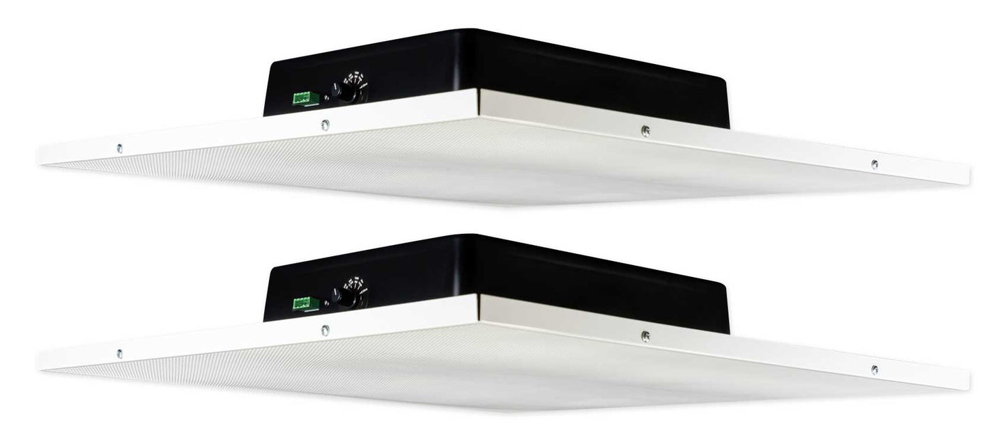 DCS8T 2-Pack [Used]