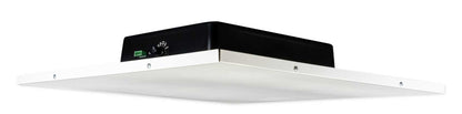 DCS8T 2-Pack [Used]