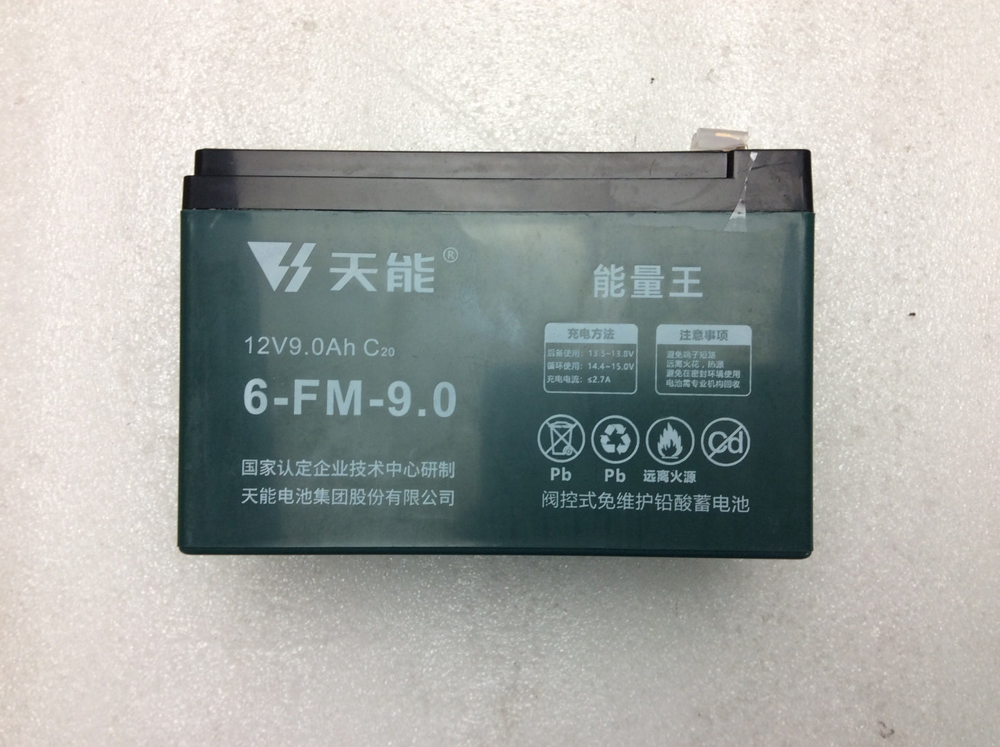GO PARTY ZR10 BATTERY
