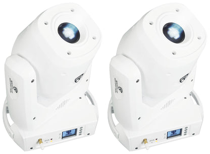 ROCK SPOT 260W WHITE 2-Pack