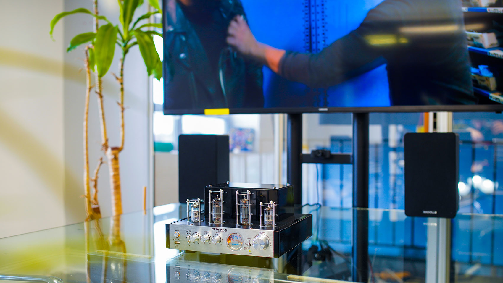 BluTube SG + WiiM Mini Bundle