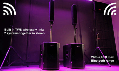 Titan Column 12 2-Pack + XLR Cable Bundle