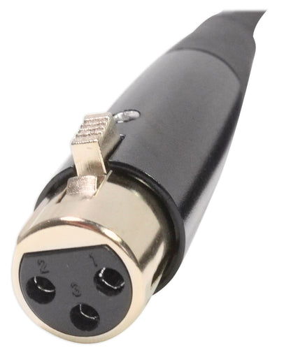 Titan Column 12 2-Pack + XLR Cable Bundle