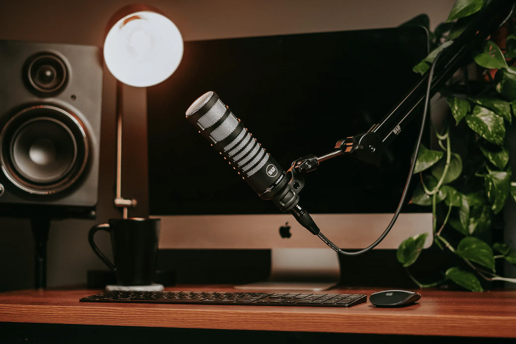 RMC-XLR Microphone + 512-BBA Boom Arm Bundle