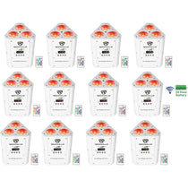 RockWedge LED White 12-Pack