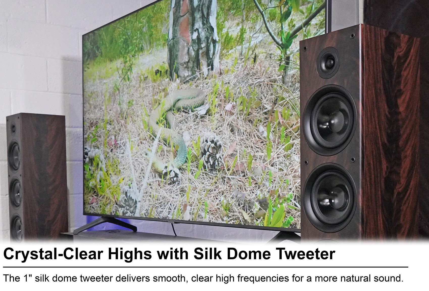 BluTube LED + RockTower 64D Dark Wood 2-Pack Bundle